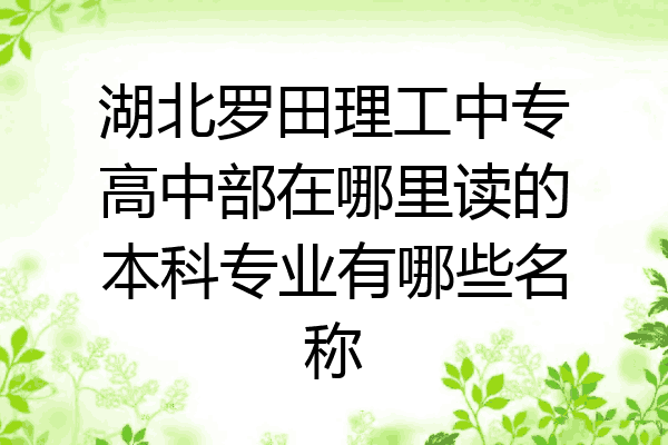 湖北罗田理工中专高中部在哪里读的本科专业有哪些名称