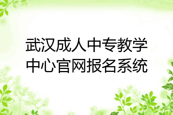 武汉成人中专教学中心官网报名系统