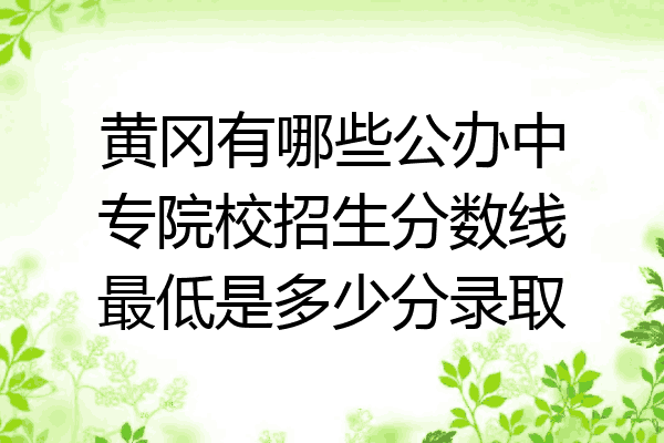 黄冈有哪些公办中专院校招生分数线最低是多少分录取