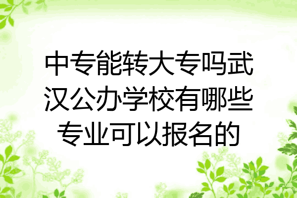 中专能转大专吗武汉公办学校有哪些专业可以报名的