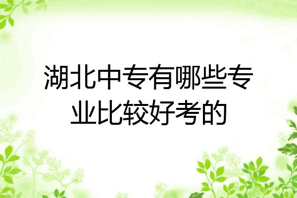 湖北中专有哪些专业比较好考的