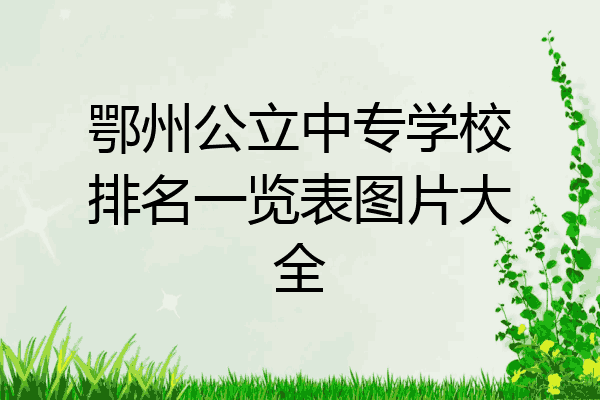 鄂州公立中专学校排名一览表图片大全