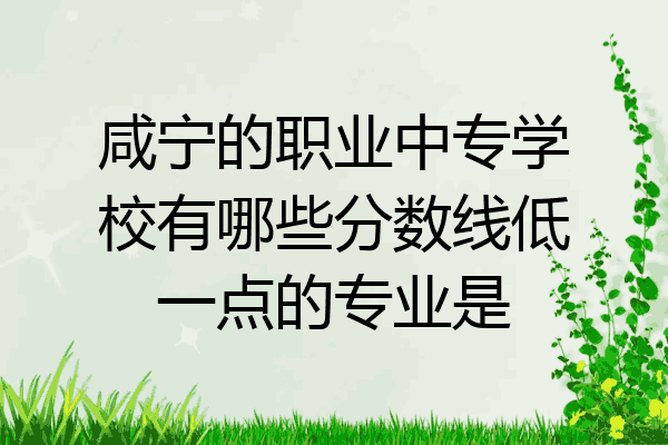 咸宁的职业中专学校有哪些分数线低一点的专业是