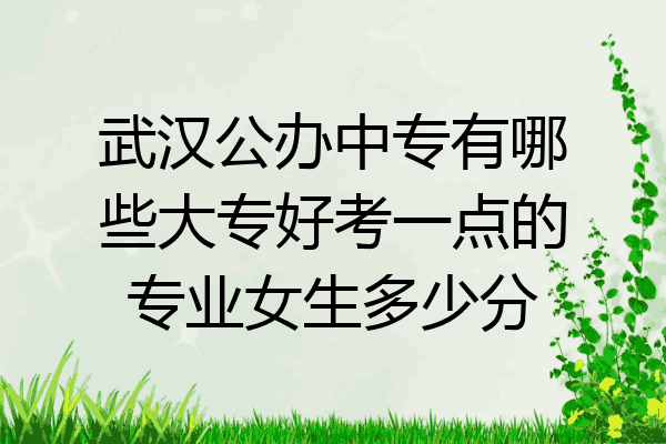 武汉公办中专有哪些大专好考一点的专业女生多少分
