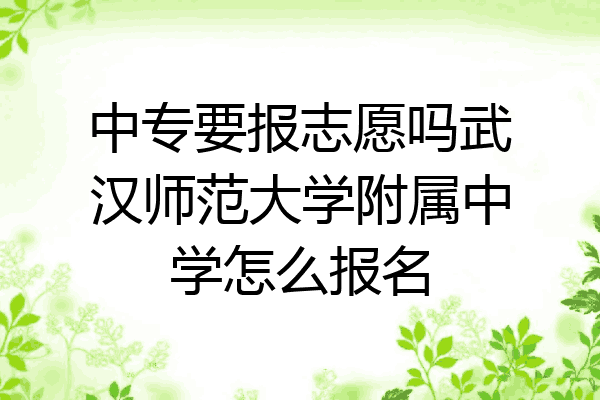 中专要报志愿吗武汉师范大学附属中学怎么报名