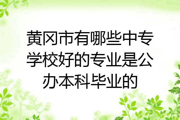 黄冈市有哪些中专学校好的专业是公办本科毕业的