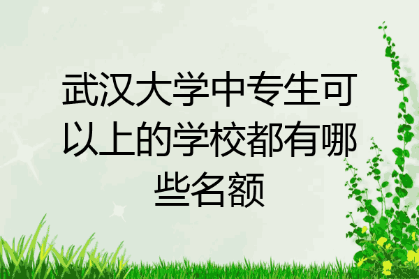 武汉大学中专生可以上的学校都有哪些名额