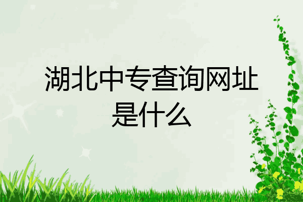 湖北中专查询网址是什么