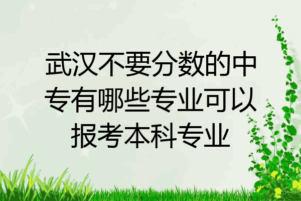 武汉不要分数的中专有哪些专业可以报考本科专业