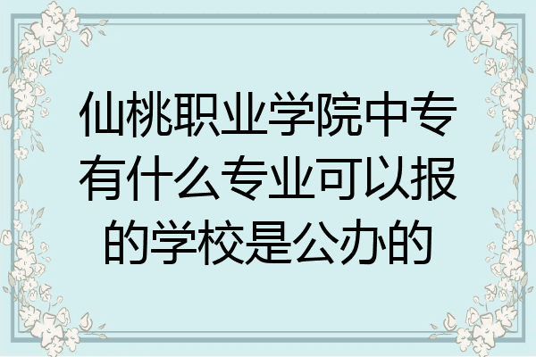 仙桃职业学院中专有什么专业可以报的学校是公办的