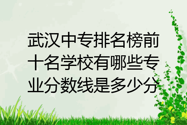 武汉中专排名榜前十名学校有哪些专业分数线是多少分