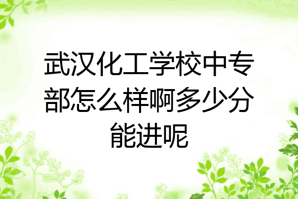 武汉化工学校中专部怎么样啊多少分能进呢