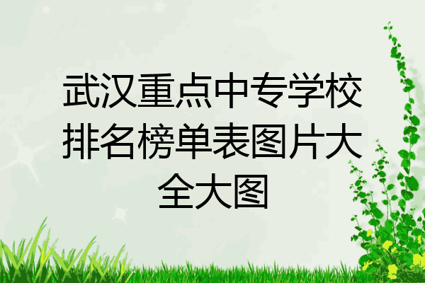 武汉重点中专学校排名榜单表图片大全大图