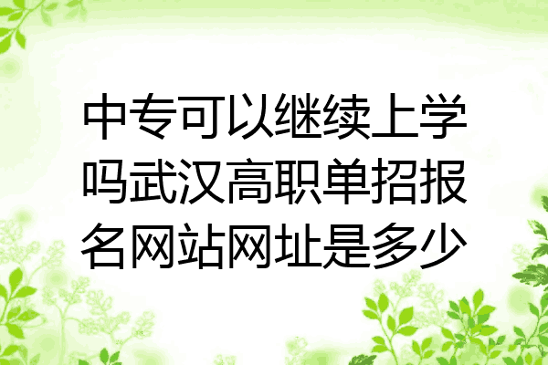 中专可以继续上学吗武汉高职单招报名网站网址是多少
