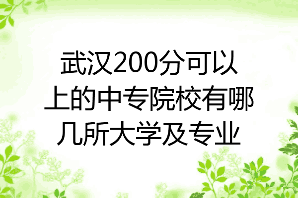 武汉200分可以上的中专院校有哪几所大学及专业