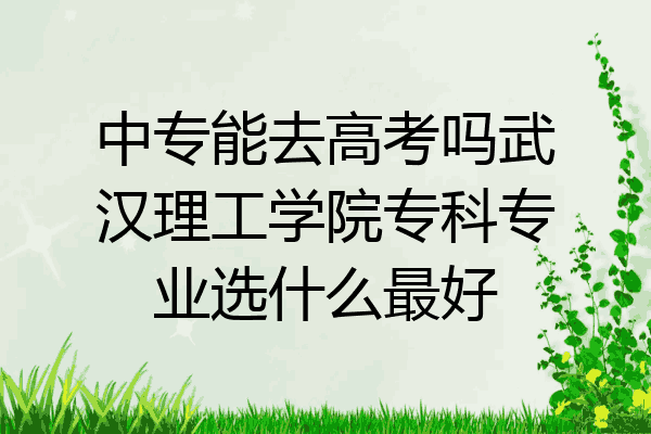 中专能去高考吗武汉理工学院专科专业选什么最好