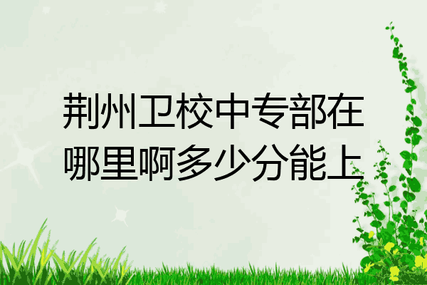 荆州卫校中专部在哪里啊多少分能上