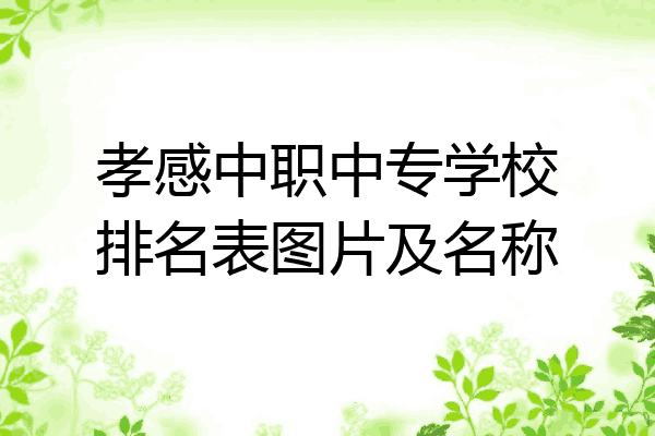 孝感中职中专学校排名表图片及名称