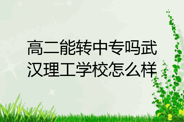高二能转中专吗武汉理工学校怎么样