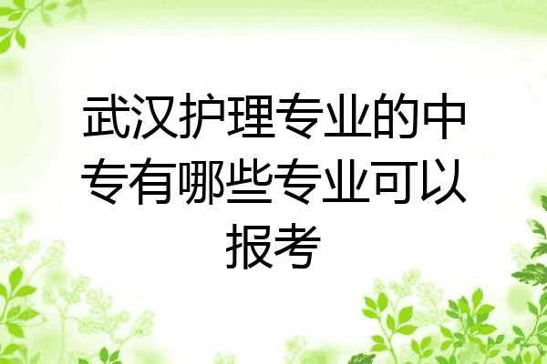 武汉护理专业的中专有哪些专业可以报考