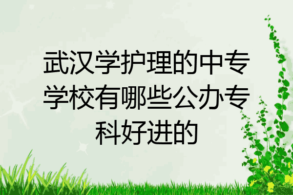 武汉学护理的中专学校有哪些公办专科好进的