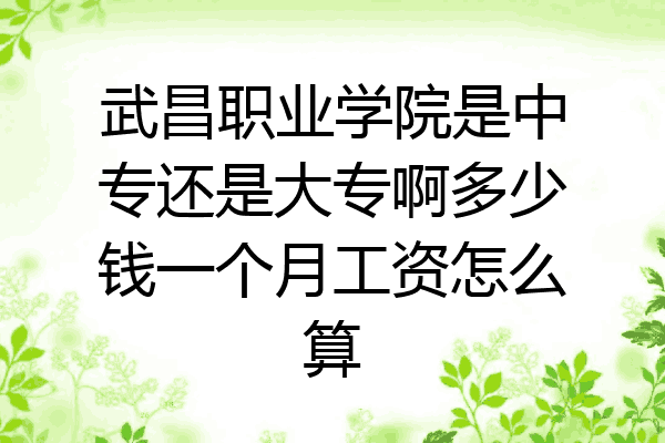 武昌职业学院是中专还是大专啊多少钱一个月工资怎么算