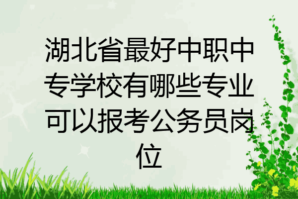 湖北省最好中职中专学校有哪些专业可以报考公务员岗位