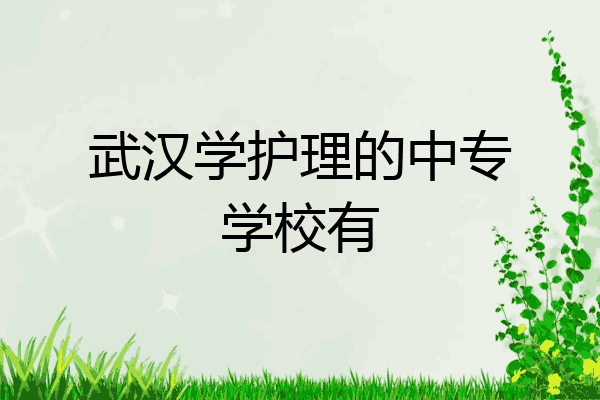 武汉学护理的中专学校有