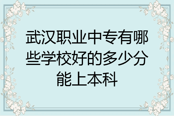 武汉职业中专有哪些学校好的多少分能上本科