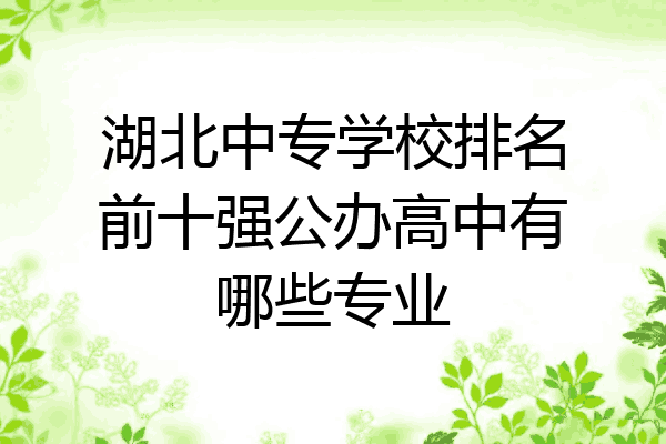 湖北中专学校排名前十强公办高中有哪些专业
