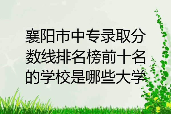 襄阳市中专录取分数线排名榜前十名的学校是哪些大学