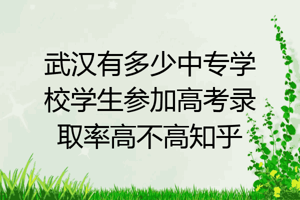 武汉有多少中专学校学生参加高考录取率高不高知乎