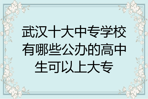 武汉十大中专学校有哪些公办的高中生可以上大专