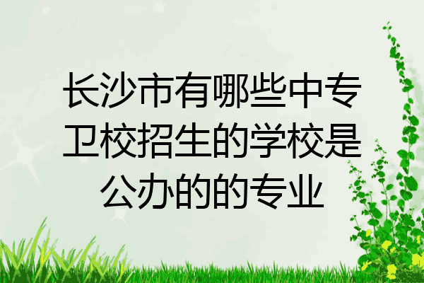 长沙市有哪些中专卫校招生的学校是公办的的专业