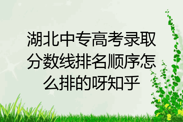 湖北中专高考录取分数线排名顺序怎么排的呀知乎