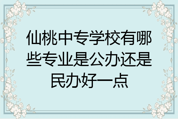 仙桃中专学校有哪些专业是公办还是民办好一点