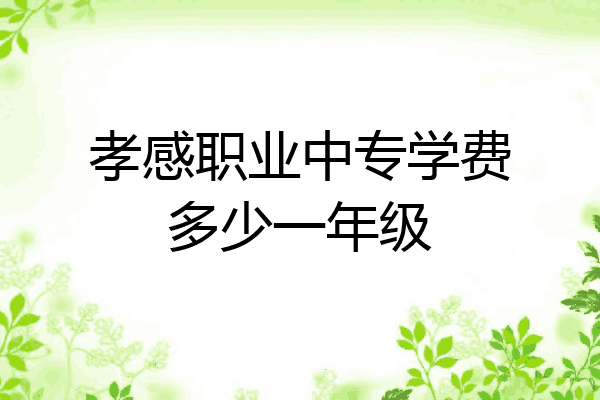 孝感职业中专学费多少一年级