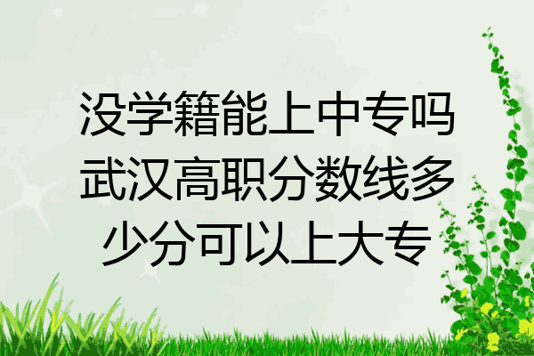 没学籍能上中专吗武汉高职分数线多少分可以上大专