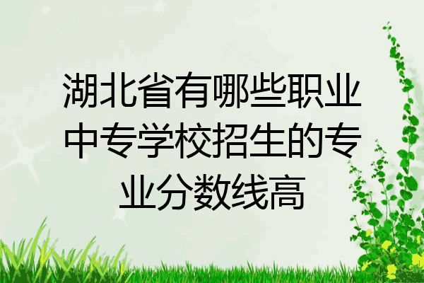 湖北省有哪些职业中专学校招生的专业分数线高