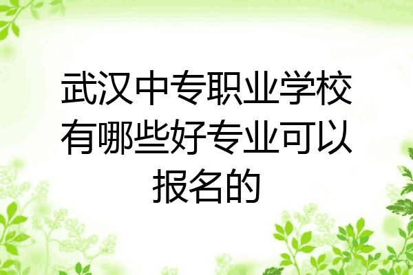武汉中专职业学校有哪些好专业可以报名的