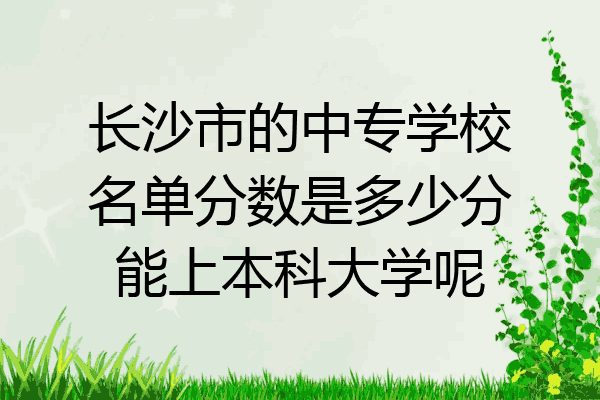长沙市的中专学校名单分数是多少分能上本科大学呢