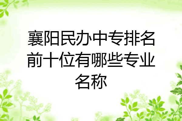 襄阳民办中专排名前十位有哪些专业名称