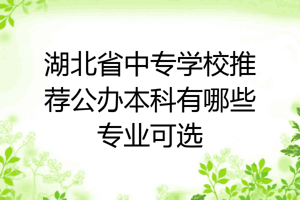 湖北省中专学校推荐公办本科有哪些专业可选