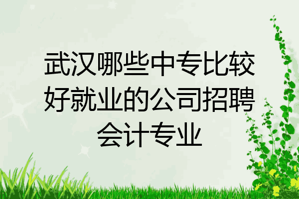 武汉哪些中专比较好就业的公司招聘会计专业