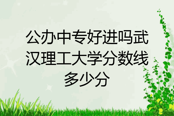 公办中专好进吗武汉理工大学分数线多少分