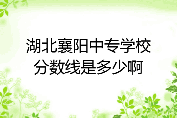 湖北襄阳中专学校分数线是多少啊