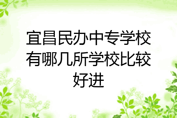 宜昌民办中专学校有哪几所学校比较好进