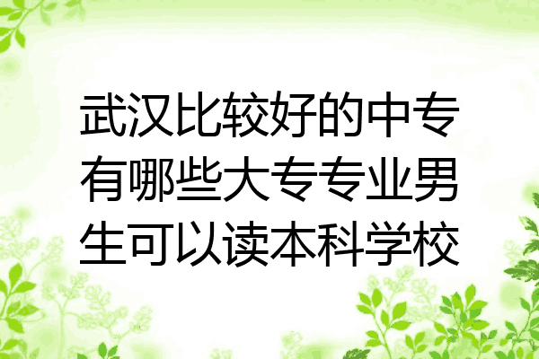 武汉比较好的中专有哪些大专专业男生可以读本科学校