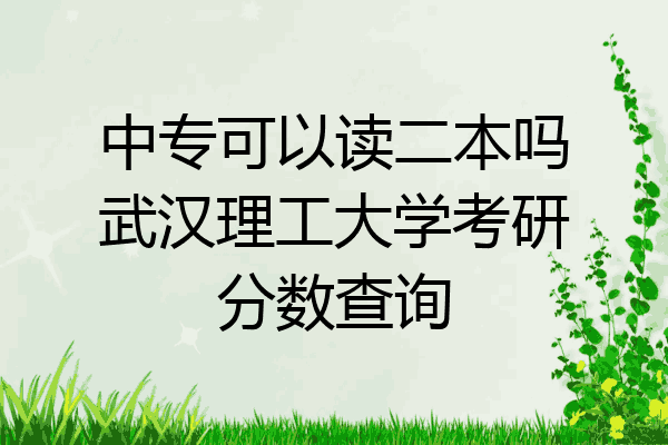 中专可以读二本吗武汉理工大学考研分数查询