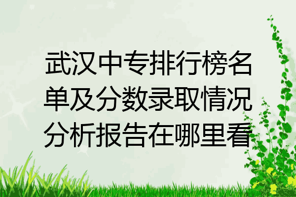 武汉中专排行榜名单及分数录取情况分析报告在哪里看